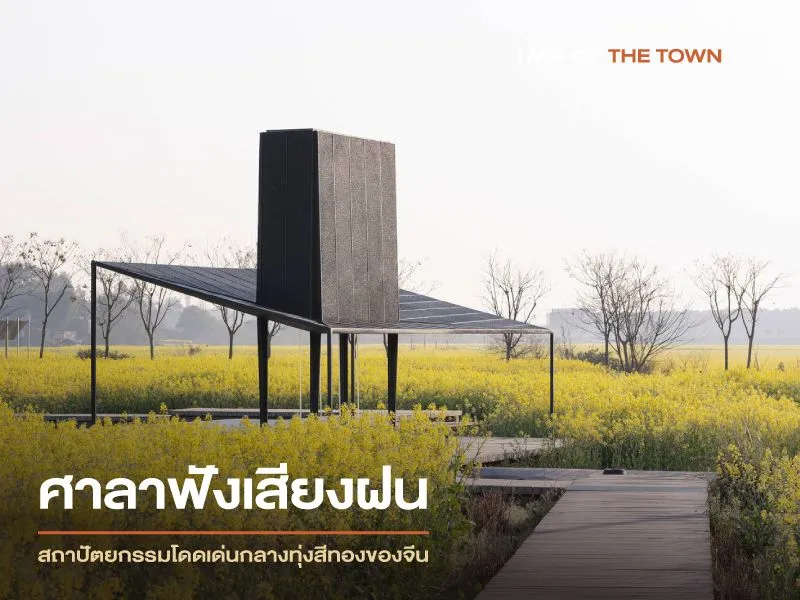 ศาลาฟังเสียงฝน สถาปัตยกรรมโดดเด่นกลางทุ่งสีทองของจีน