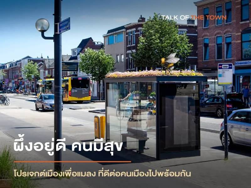 โปรเจกต์เมืองเพื่อแมลง ที่ดีต่อคนเมืองไปพร้อมกัน