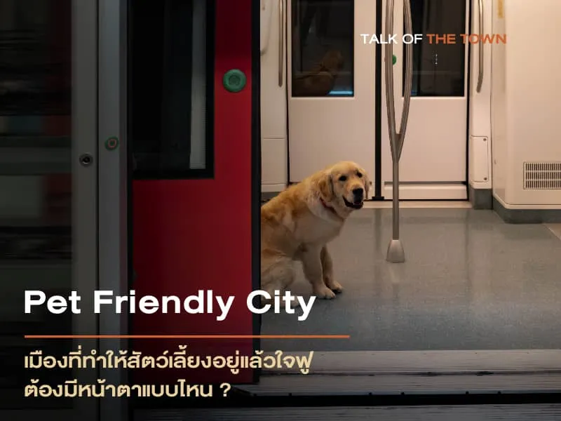 Pet Friendly City
